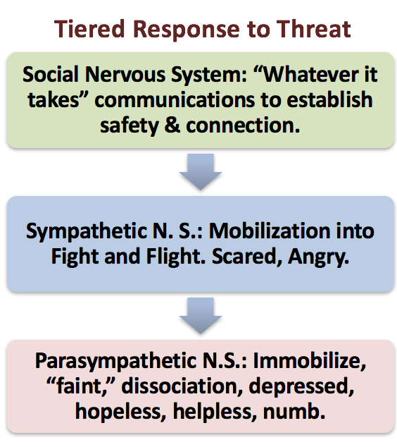 Polyvagal Theory in Psychotherapy Dr. Arielle Schwartz