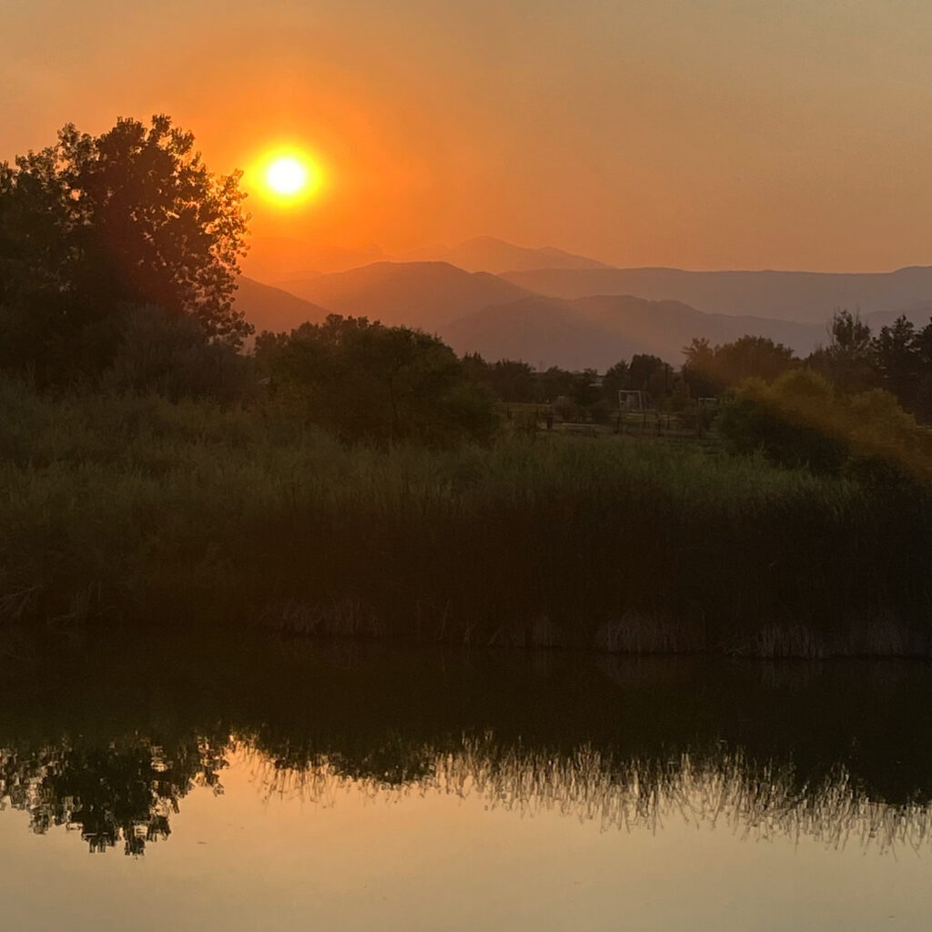 Coping with Climate Grief Dr. Arielle Schwartz