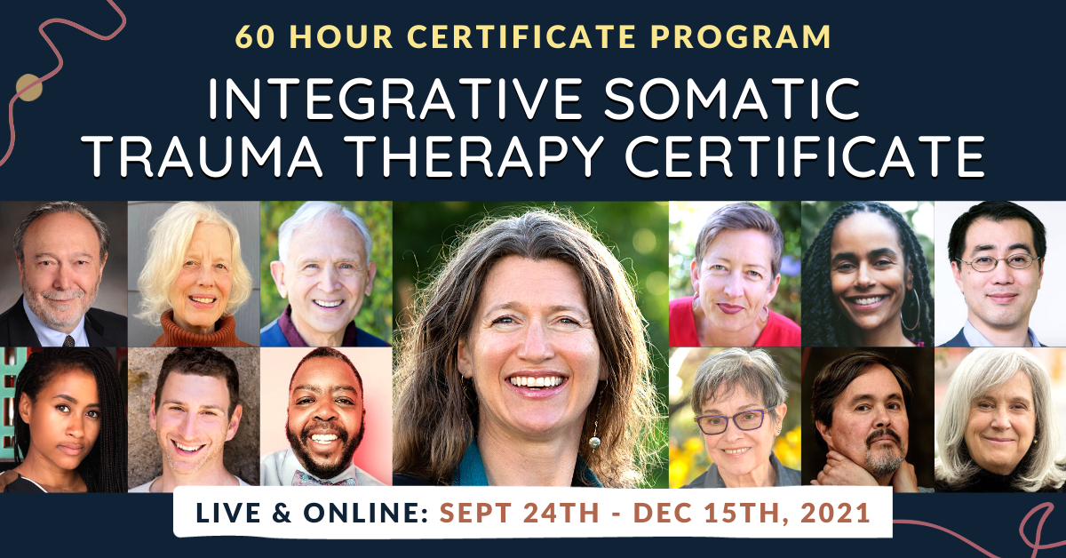 Integrative Somatic Trauma Therapy Certificate program