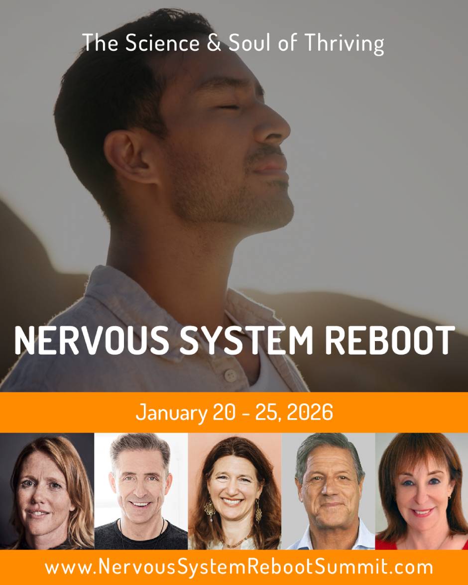 Nervous System Reboot Experience
